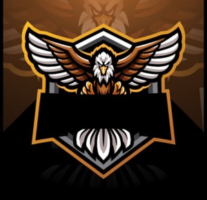 Создать мем: брутальные логотипы eagles team, логотип орел, воин логотип