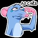 Create meme: sticker mr. rats vkontakte, stickers , rat sticker