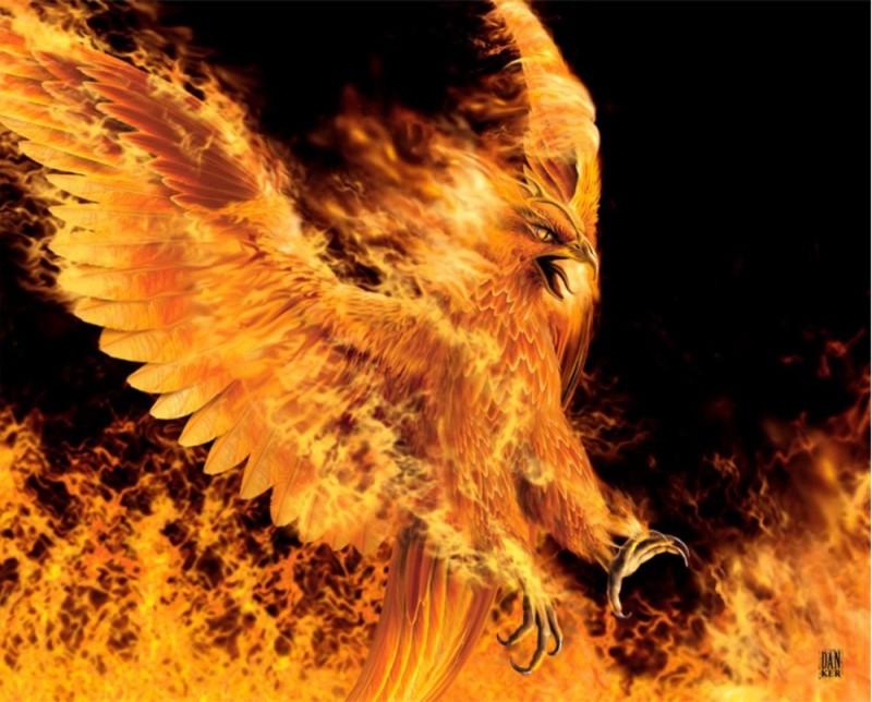 Create meme: fiery Phoenix, fire owl, rarog the fiery falcon of the Slavs