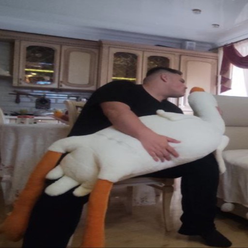 Create meme: soft toy goose, soft toy goose 160 cm, soft toy goose 90 cm