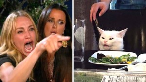 Создать мем: кот и женщина мем, мем с кошкой и девушкой, две женщины орут на кота фотошоп