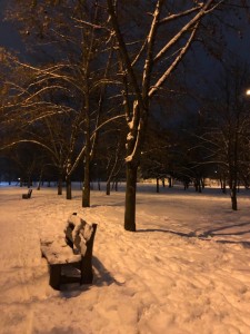 Create meme: winter park at night, winter Park, winter park