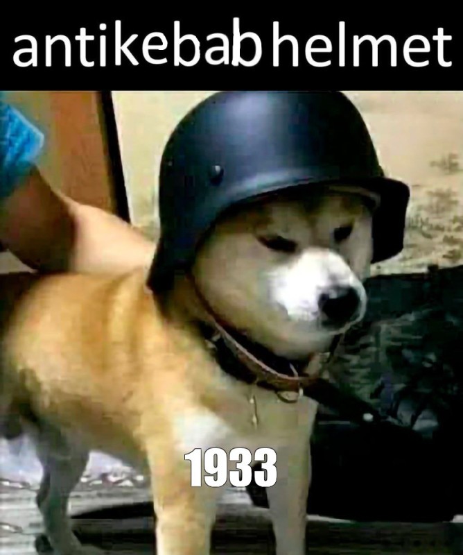 Создать мем: собака ковбой мем, doge dog, собака смешная