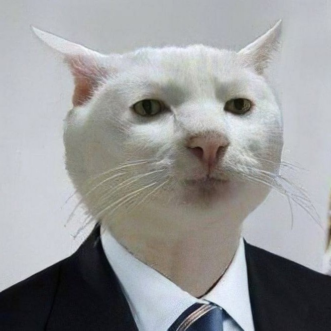Создать мем: кот, кот мем, serious cat