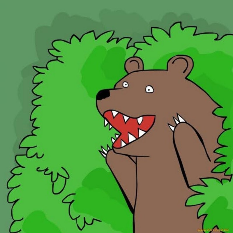 Create meme: meme bear , bear in the bushes , bear out of the bushes 