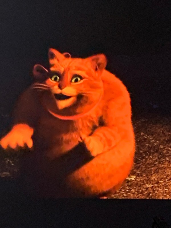 Создать мем: толстый кот из шрека, рыжий кот из шрека, кот из шрека