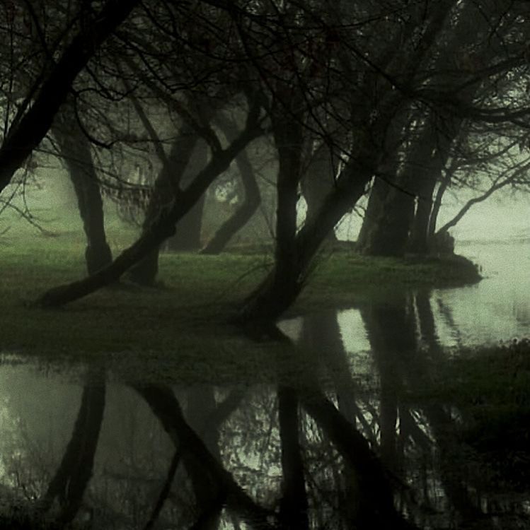 Create meme: gloomy river, landscapes on a monocle, Igor shpilenok Bryansk forest