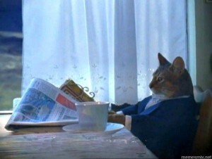 Create meme: meme cat, cat with newspaper meme, cat