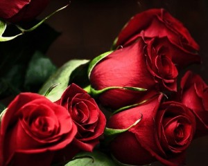 Создать мем: желаю всем любви, с днем рождения розы, розы на