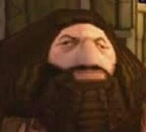 Create meme: Hagrid from the game, Harry Potter Hagrid the game