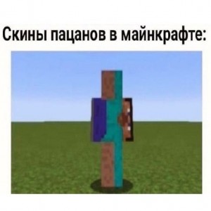 Create meme: skins, minecraft