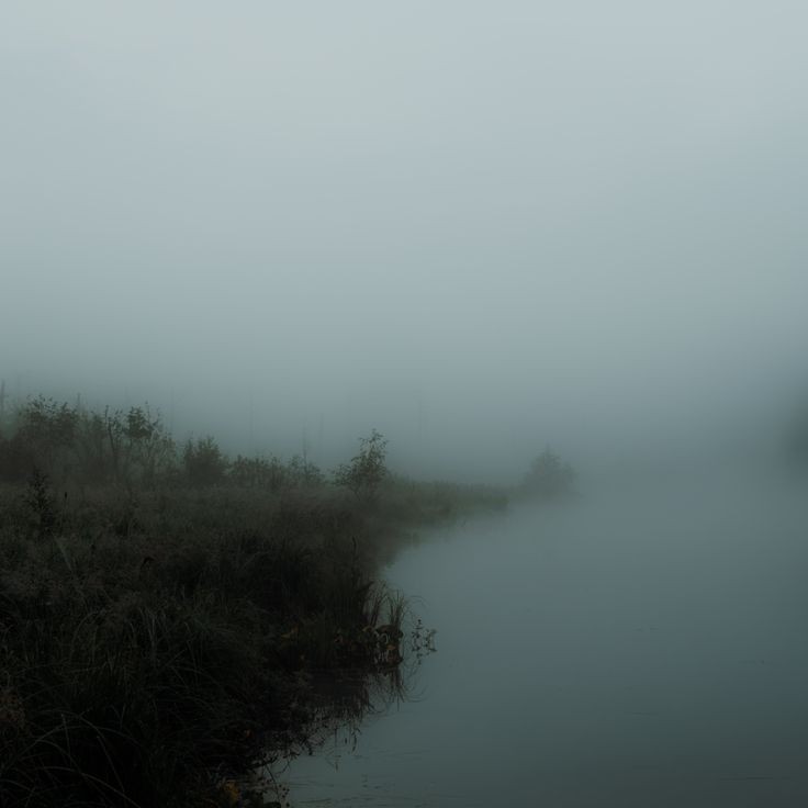 Create meme: lake fog, fog on the ugra river, swamp fog