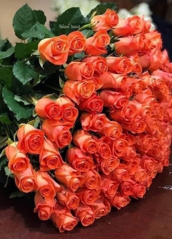 Create meme: the bouquet is beautiful, bouquet of orange roses, pink roses 