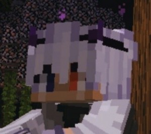 Create meme: wolf minecraft, minecraft