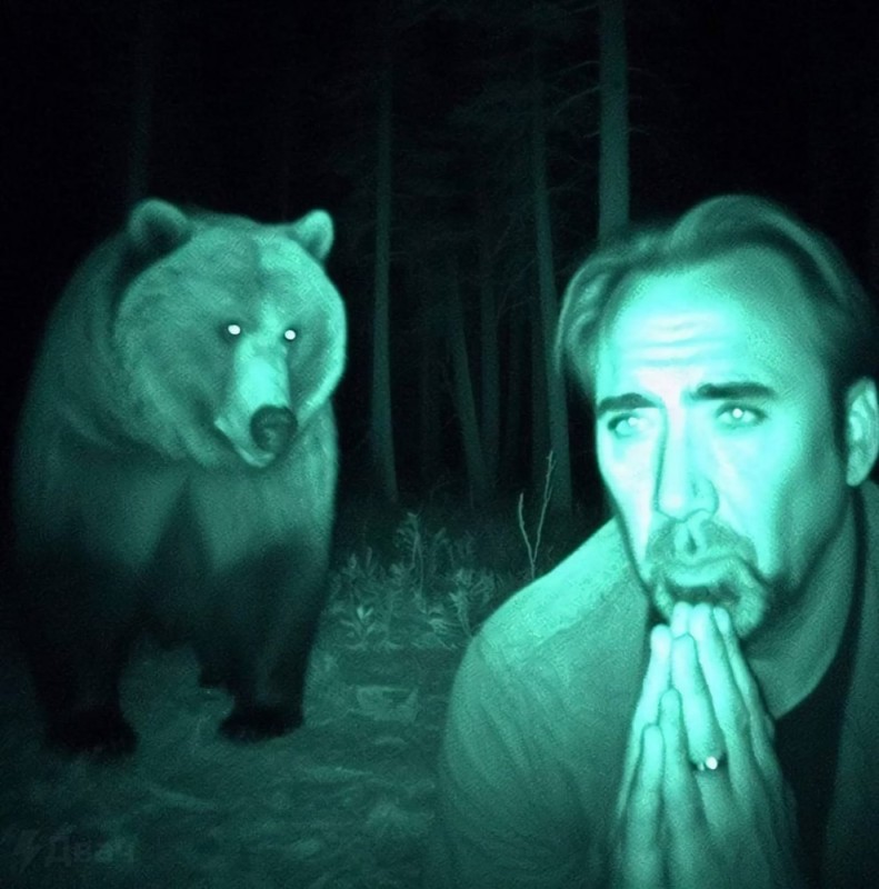 Create meme: wild animals, moose and bear, forest bear