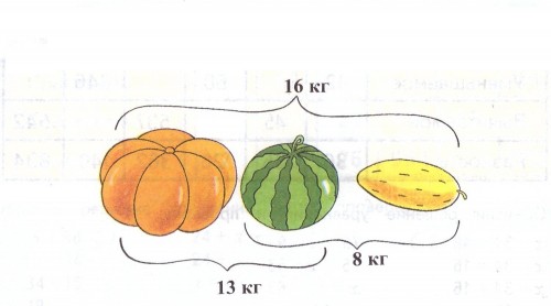 Масса тыквы а дыни