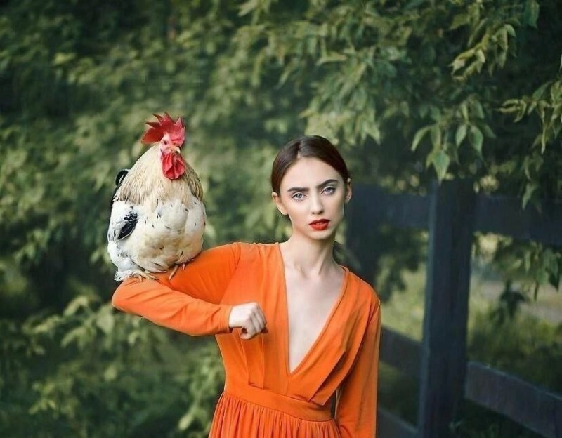 Create meme: girl , anastasia dobrovolskaya photographer, girl with a cock