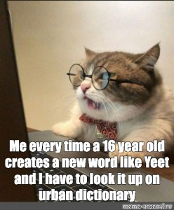 Create Meme It Is Weekend Please Don T Work So Hard Enjoy Cat In Glasses Meme Picture Of Cat With Glasses For The Computer Funny Cats Pictures Meme Arsenal Com