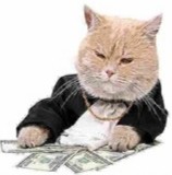 Создать мем: денежный кот, кошка, кот с деньгами
