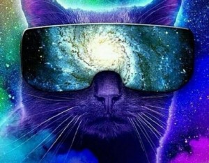 Create meme: cat, space cat, cat with cosmos glasses