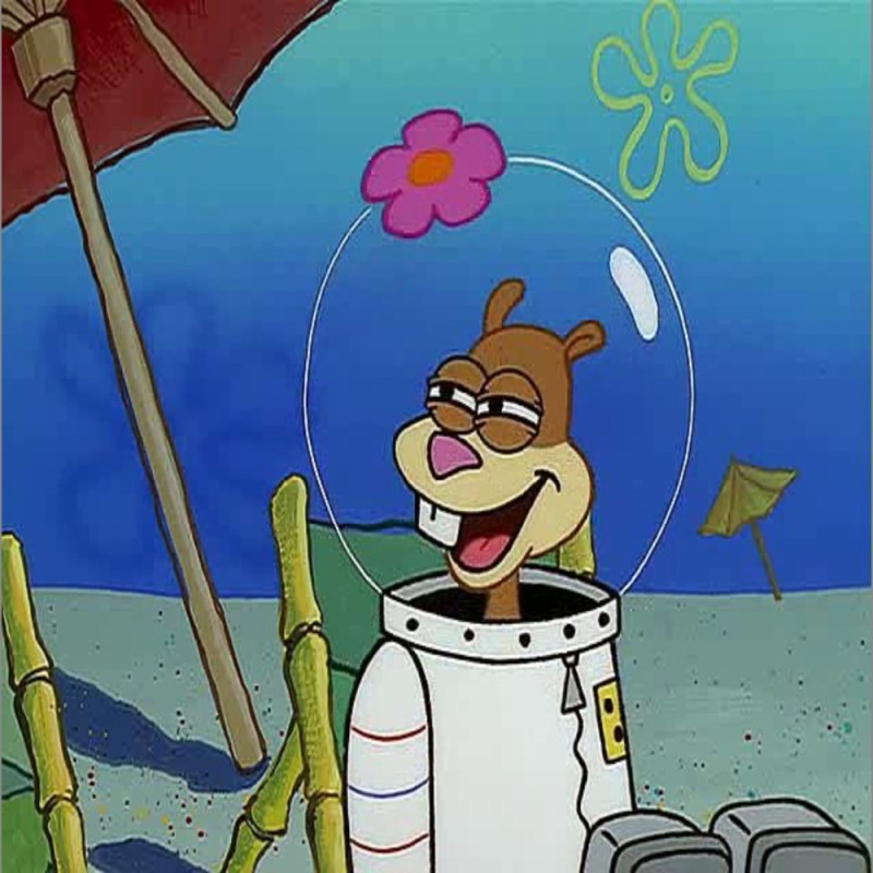 Create meme: Sandy from spongebob, sponge Bob square pants , sandy cheeks