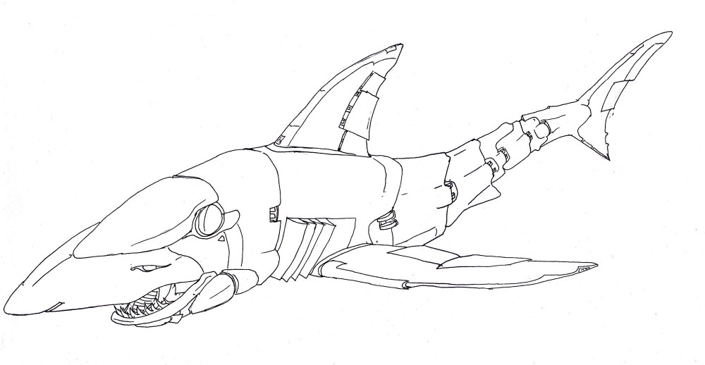 Рисунок на самолете акула