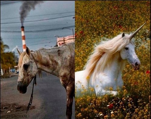 Создать мем: эстетика единорогов, белая лошадь, единорог