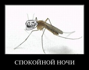 Create meme: the mosquito joke