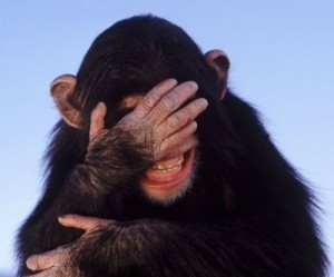 Создать мем: шимпанзе, обезьяна фейспалм, обезьяна смеется