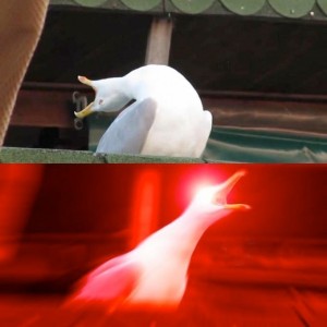 Create meme: deep breath meme, meme Seagull deep breath, screaming Seagull meme