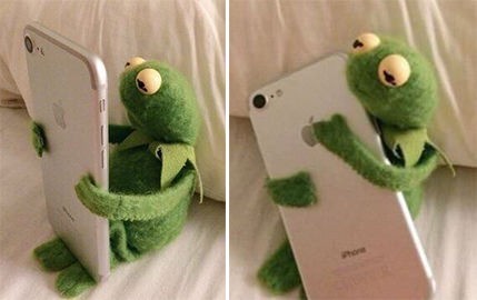 Create meme: kermit the frog with the phone, Kermit the frog , Kermit 