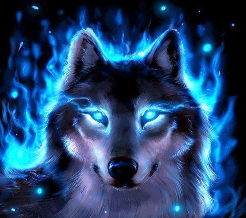 Create meme: beautiful wolf, wolf wolf, wolf with blue eyes