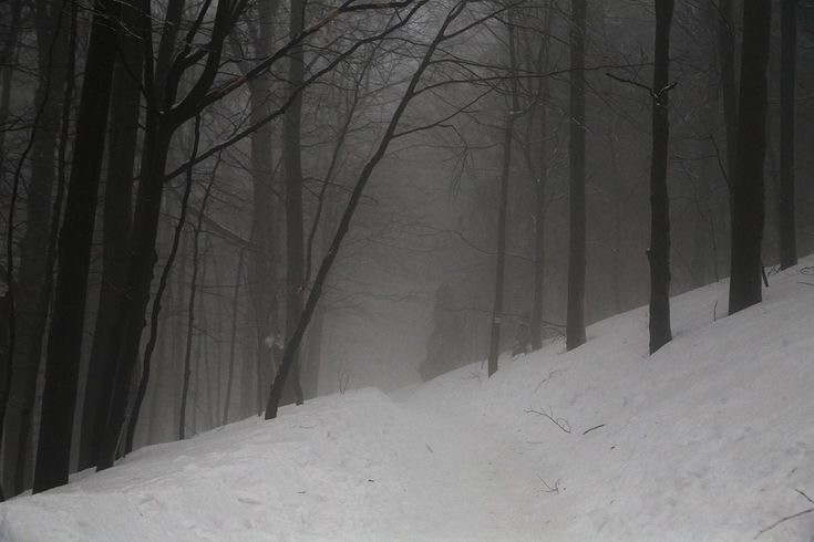 Create meme: scary winter forest, snow winter, snow 