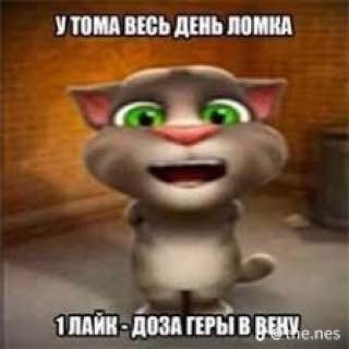 Create meme: my talking tom, talking tom, talking tom cat