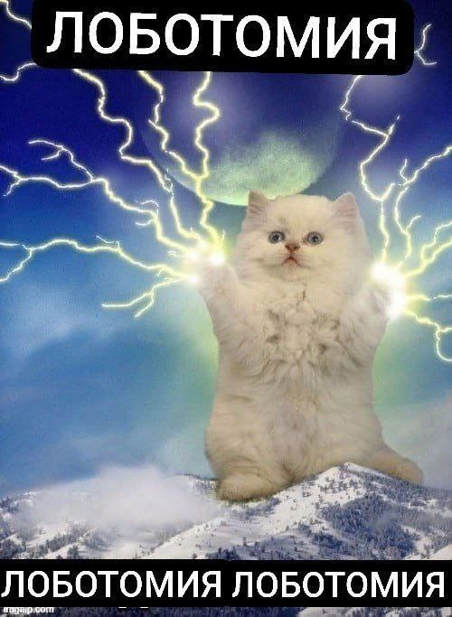 Создать мем: кошка, кот с молниями из лап, котики