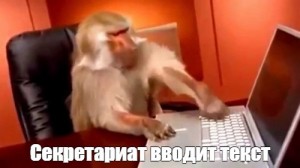 Создать мем: гиф обезьяна и ноутбук, обезьянка за компьютером, обезьяна за компьютером мем gif