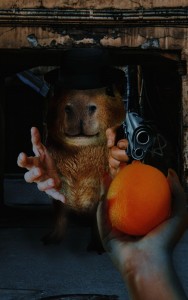 Create meme: the capybara, cat