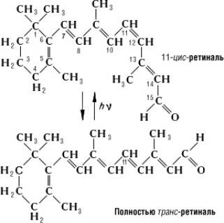 Create meme: cis retinal formula, rhodopsin chemical formula, 11 cis retinal formula