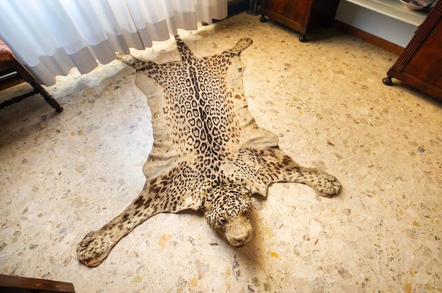 Create meme: leopard skin, leopard skin with a head, leopard carpet