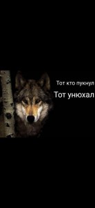 Создать мем: волчица, фото волков на черном фоне, волк