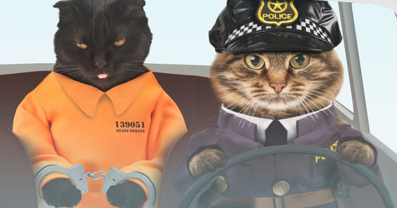 Создать мем: кот, котик, полицейский
