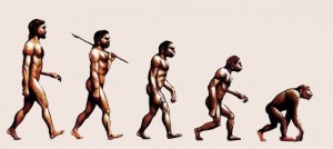Create meme: evolution APE to man, human evolution