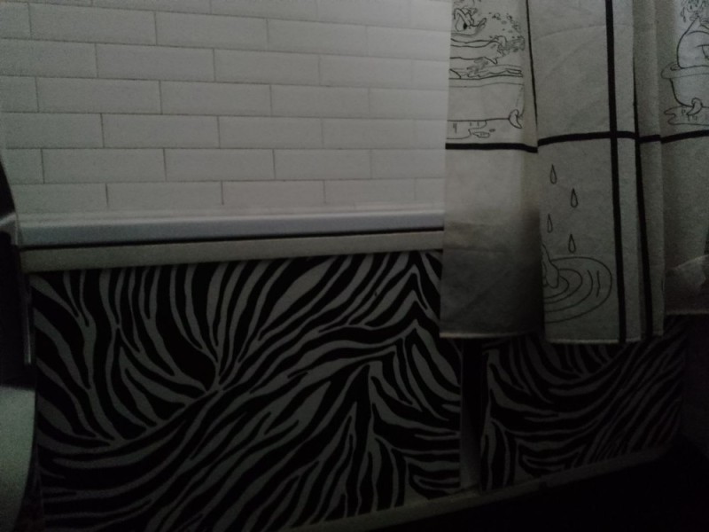 Create meme: interior, zebra style bathtub, bathroom curtain bacchetta s R L 180x200 cm