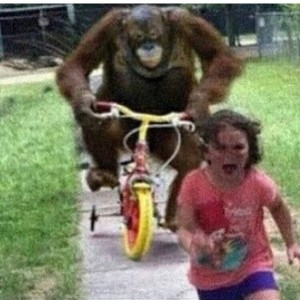 Create meme: people, monkey chase kid meme, meme monkey is riding a Bicycle