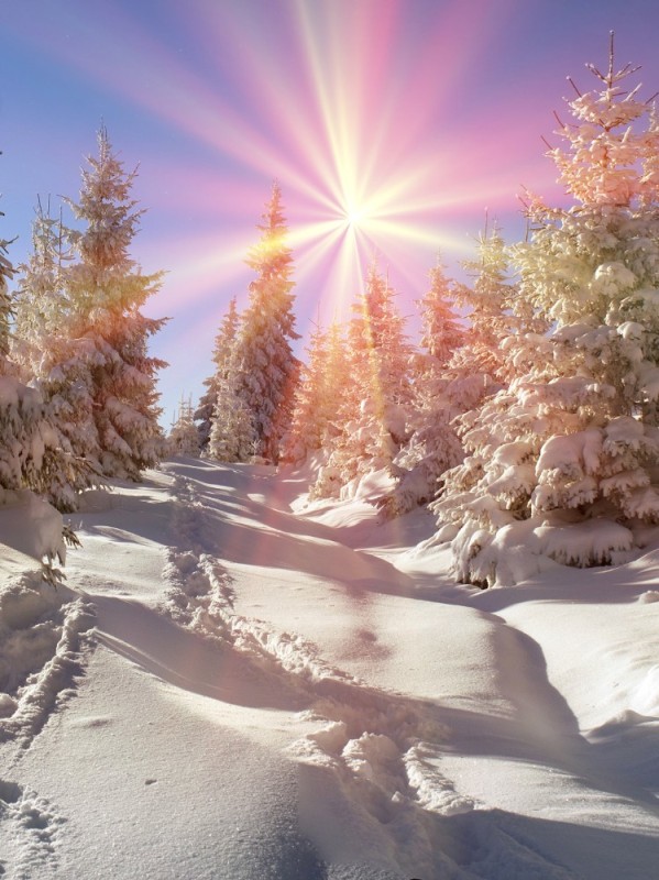 Create meme: winter sunny landscape, winter sun, sunny winter day