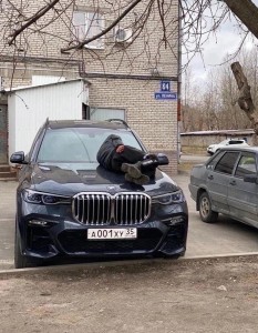 Create meme: bmw, bmw x, bmw x 7 g 07