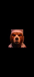 Создать мем: медведь паддингтон, приключения паддингтона фильм 2014, паддингтон