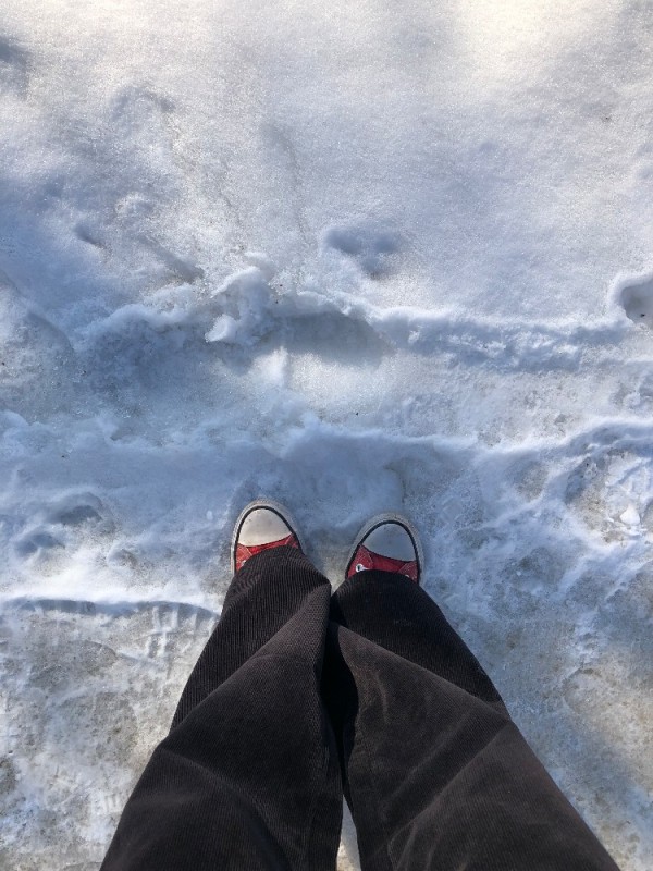 Создать мем: обувь, ноги, в босоножках на снегу