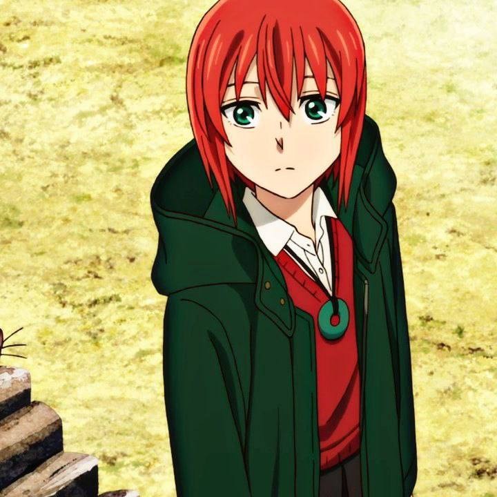 Create meme: The bride of the magician Chise, The bride of the magician Chise Hatori, Chise Hatori