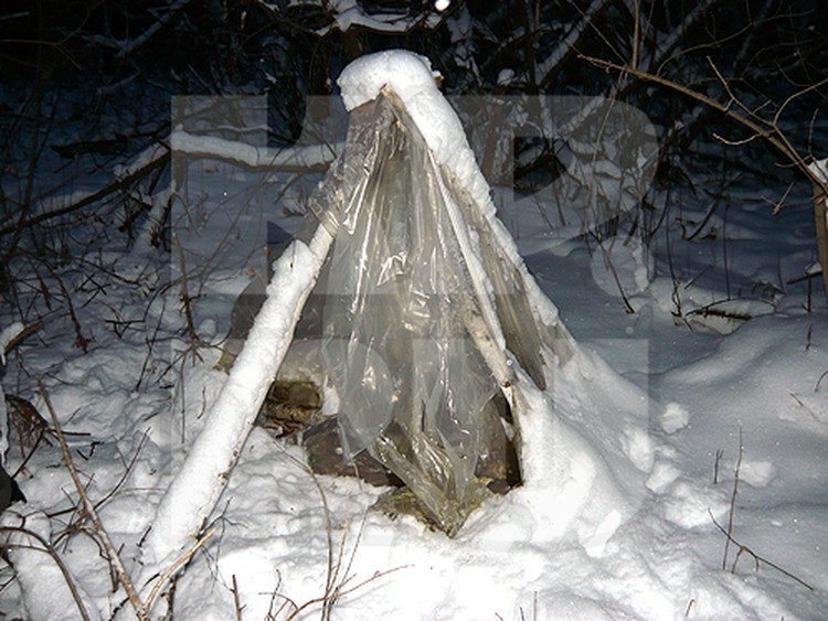 Create meme: igor grudtsinov hut, shelter for roses for winter, winter tent
